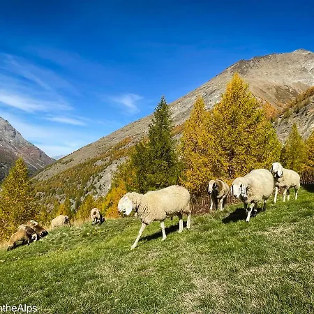 Haus Zer Traechu Chalet Saas-Almagell
