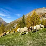 Haus Zer Traechu Alpstuga Saas-Almagell